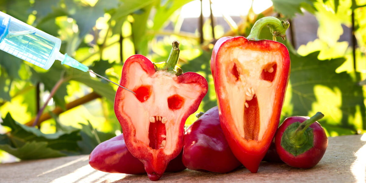 انتقاد «مرندی» از عدم نصب برچسب روی محصولات تراریخته انتقاد «مرندی» از عدم نصب برچسب روی محصولات تراریخته