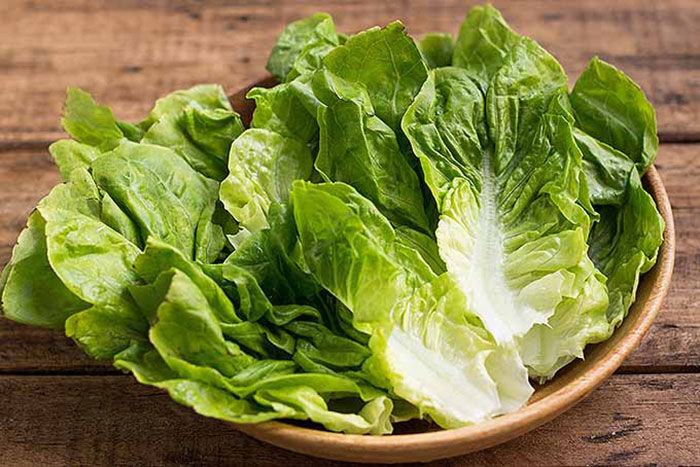 چگونه کاهو را در یخچال تازه نگه داریم؟ چگونه کاهو را در یخچال تازه نگه داریم؟