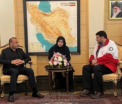رایزنی برای حضور و استقرار کادر درمان ایرانی مجرب در مراکز درمانی عراق