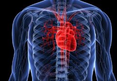 نارسایی قلبی در بروز اختلال شناختی نقش دارد