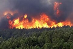 آتش‌سوزی جنگل‌های مریوان همچنان ادامه دارد