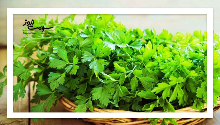 ۱۰ گیاه معجزه گر برای درمان کم خونی ۱۰ گیاه معجزه گر برای درمان کم خونی