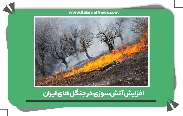 افزایش آتش‌سوزی در جنگل‌های ایران 