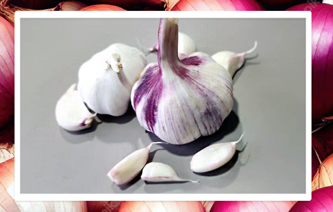 سیر و پیاز بهترین منبعِ پروبیوتیک سیر و پیاز بهترین منبعِ پروبیوتیک