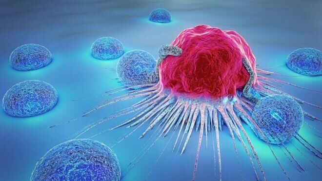 انقلابی در درمان سرطان با خودتخریبی سلول مهاجم  