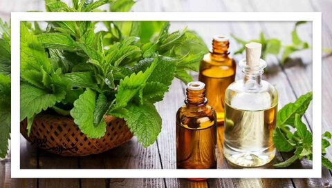 درمان طبیعی فشار خون با روغن نعنا