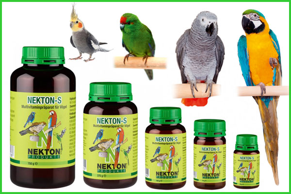 مولتی ویتامین های مهم برای سلامت پرنده