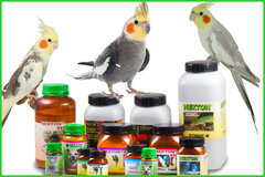 مولتی ویتامین های مهم برای سلامت پرنده