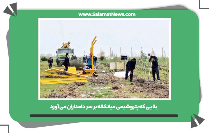 بلایی که پتروشیمی میانکاله بر سر دامداران می آورد بلایی که پتروشیمی میانکاله بر سر دامداران می آورد