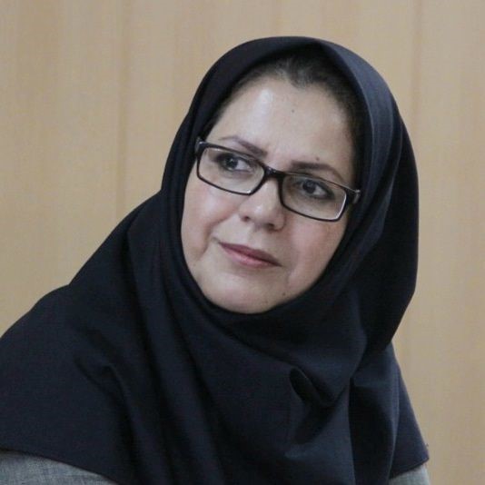 بر اساس طرح آمایش گلستان "ناهارخوران" مناسب اجرای تله کابین نیست