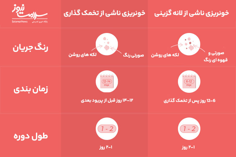 اینفوگرافی تخمک گذاری