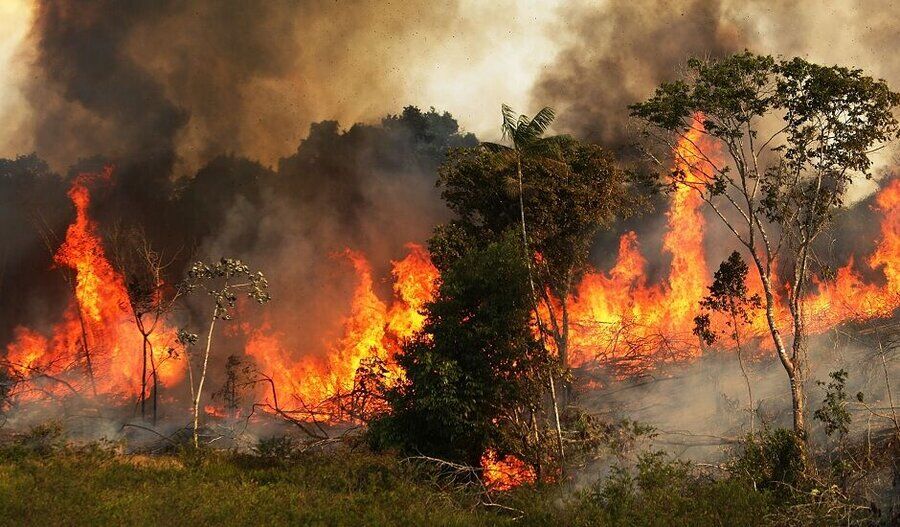  آتش‌سوزی گسترده در جنگل‌های نمک‌آبرود 