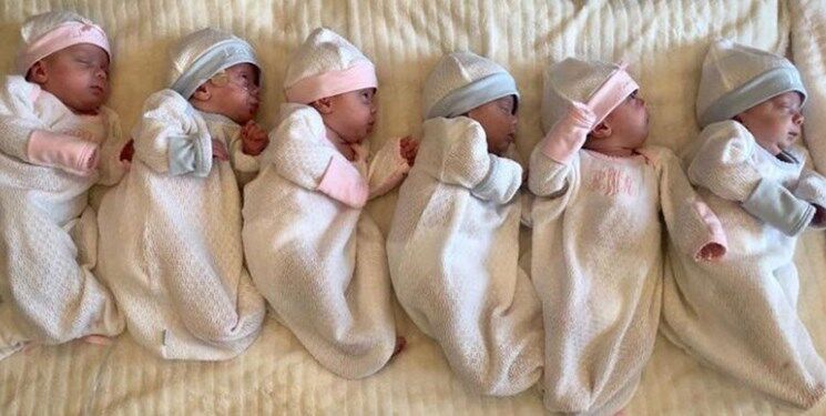 این شهر رکورد دار چندقلوزایی در کشور است! این شهر رکورد دار چندقلوزایی در کشور است!