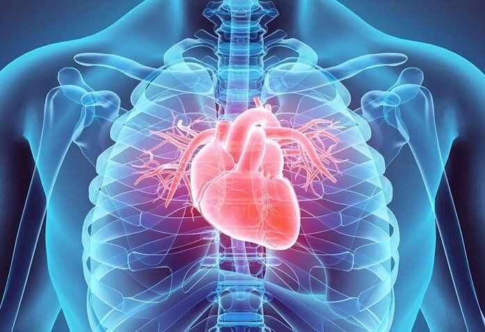 حفظ سلامت قلب موجب کاهش خطر ابتلا به ۹ سرطان می شود حفظ سلامت قلب موجب کاهش خطر ابتلا به ۹ سرطان می شود