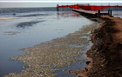 آیا روسیه عامل کاهش آب دریای خزر است