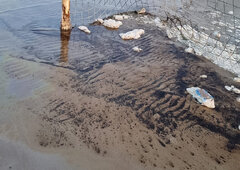آلودگی نفتی سواحل گناوه/ معلوم نیست چه کسی متولی دریاست