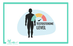 عواملی که با افزایش سن، تستوسترون مردان را کاهش می دهد