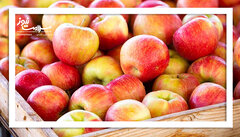 معجزه سیب برای سلامتی بدن