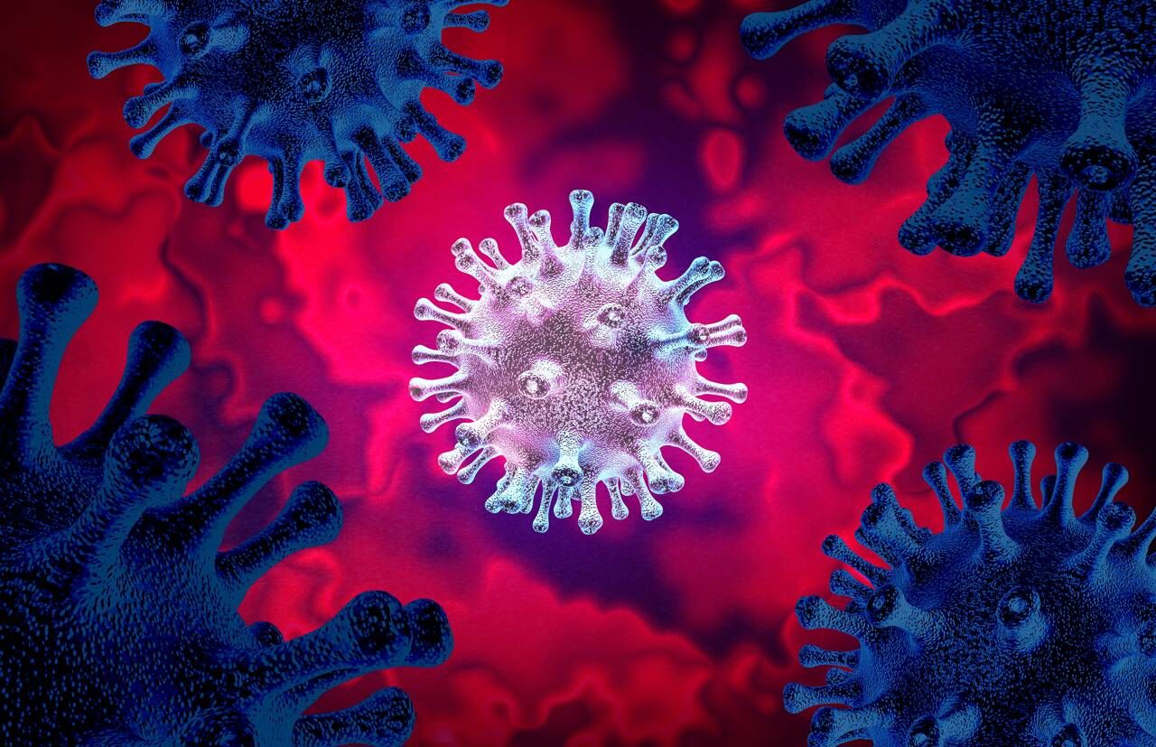 ویروس « پیرولا » در یک‌ قدمی شیوع گسترده