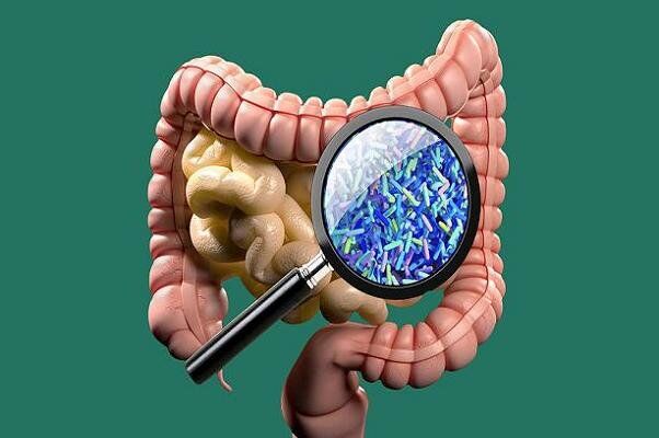 پارکینسون احتمالا از روده شروع می شود پارکینسون احتمالا از روده شروع می شود
