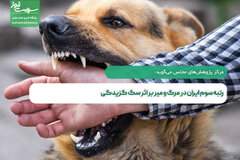 رتبه سوم ایران در مرگ و میر بر اثر سگ گزیدگی