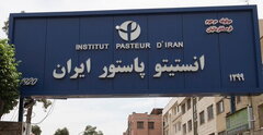 کسب درجه عالی انستیتو پاستور ایران در تشخیص آبله میمونی