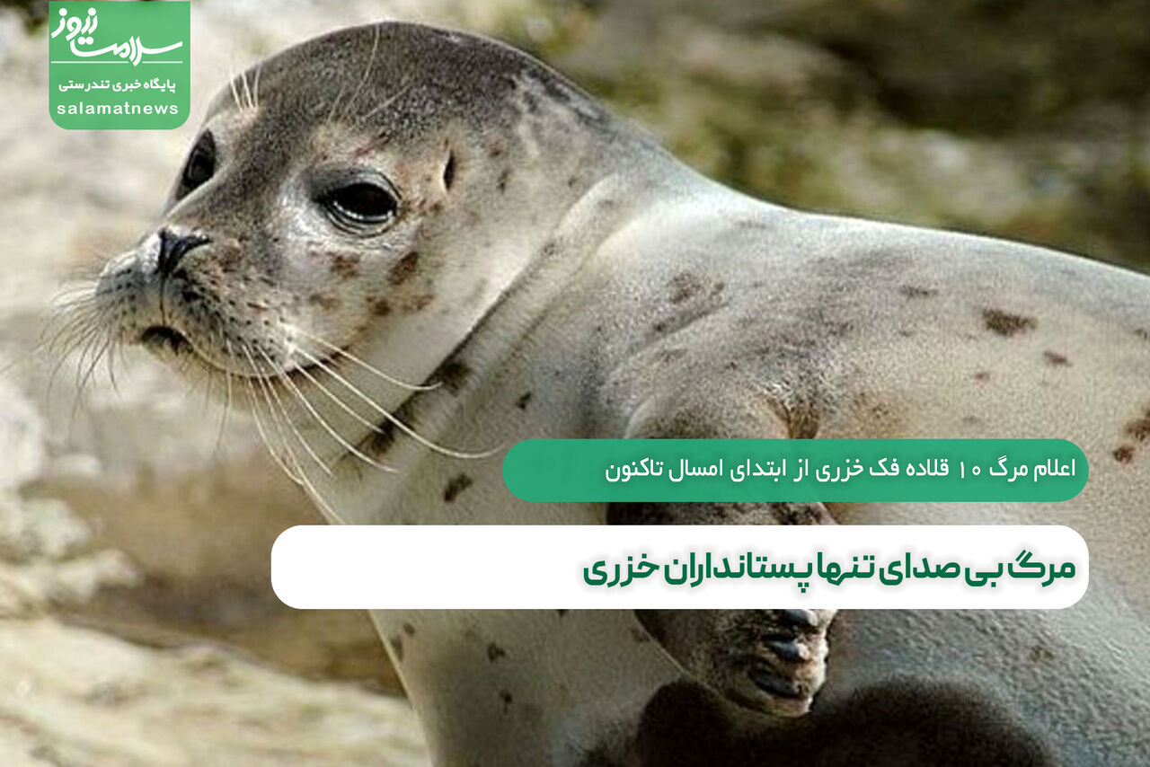 مرگ بی صدای تنها پستانداران خزری مرگ بی صدای تنها پستانداران خزری