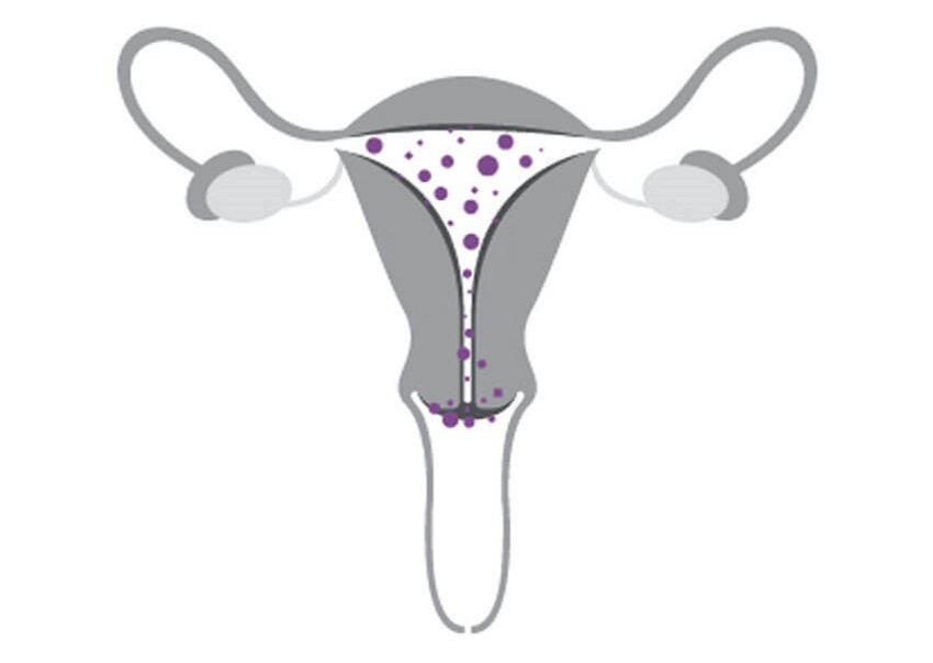 معرفی دکتر متخصص زنان در شرق تهران و روشهای تماس