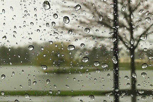 کاهش نسبی دما در شمال کشور از فردا؛ بارش باران و وزش باد شدید پیشبینی میشود کاهش نسبی دما در شمال کشور از فردا؛ بارش باران و وزش باد شدید پیشبینی میشود