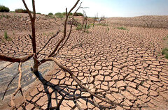 تجربه خشکسالی متوسط تا خیلی شدید طی ۳ سال اخیر