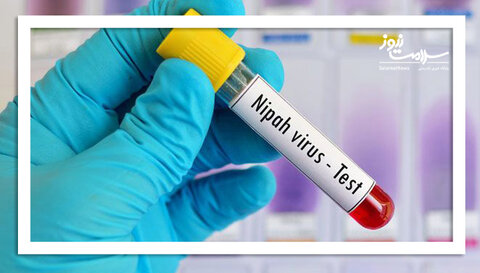 ویروس نیپا چیست و چقدر باید نگران آن باشیم؟