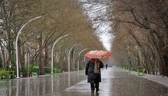 بارش باران در نقاط مختلف کشور/ باد و خاک در شرق و غرب ایران