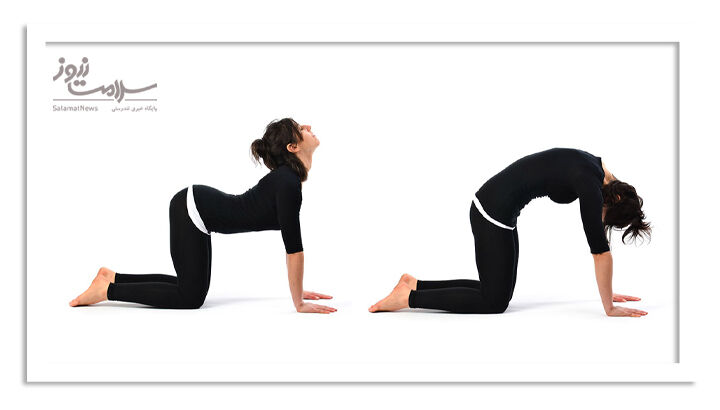 ژست گربه گاو