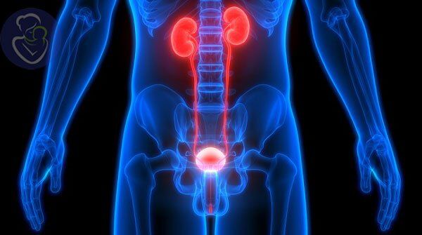 عفونت ادرار در کودکان و نوزادان دختر و پسر تا چه حد جدی است؟
 عفونت ادرار در کودکان و نوزادان دختر و پسر تا چه حد جدی است؟