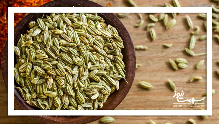 طراحی و ساخت فیتوزوم حاوی اسانس رازیانه و ارزیابی آن در کاهش شدت درد مبتلایان به دیسمنوره