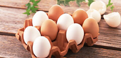 افراد سالم هر روز یک عدد تخم مرغ بخورند