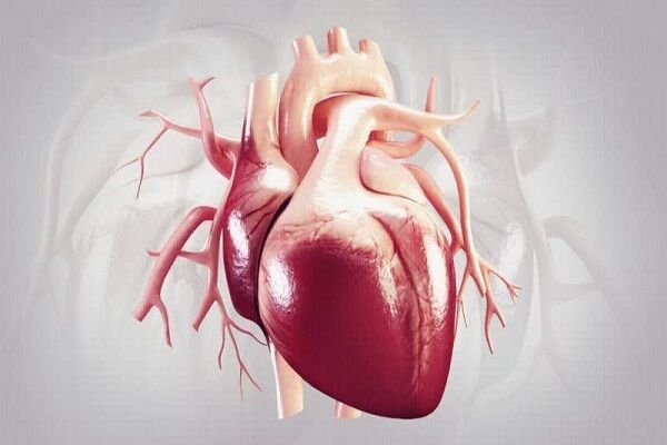 یائسگی سلامت قلب زنان را به خطر می اندازد یائسگی سلامت قلب زنان را به خطر می اندازد