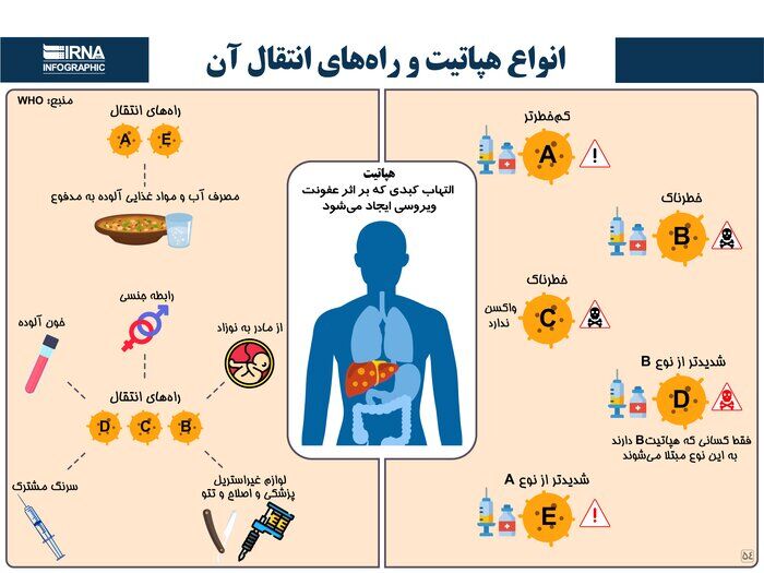 ابتلا به هپاتیت به یک درصد کاهش یافته است/تزریق واکسن به ۴۰ میلیون ایرانی