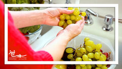 میوه ای برای تقویت سلامت چشم در افراد مسن