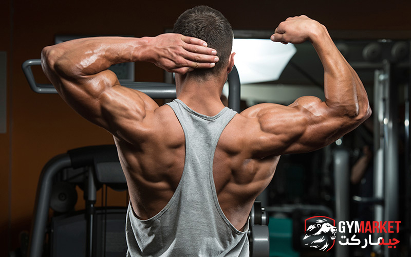 مصرف پروتئین شیر پگاه باعث سلامتی انسان می شود + شواهد علمی