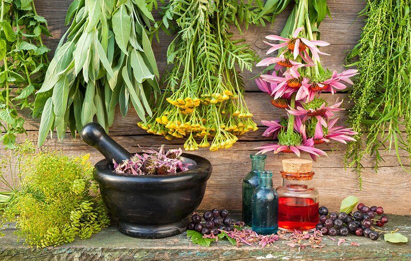 گیاهان دارویی؛ از حفظ تنوع زیستی تا ایجاد فرصتهای شغلی گیاهان دارویی؛ از حفظ تنوع زیستی تا ایجاد فرصتهای شغلی