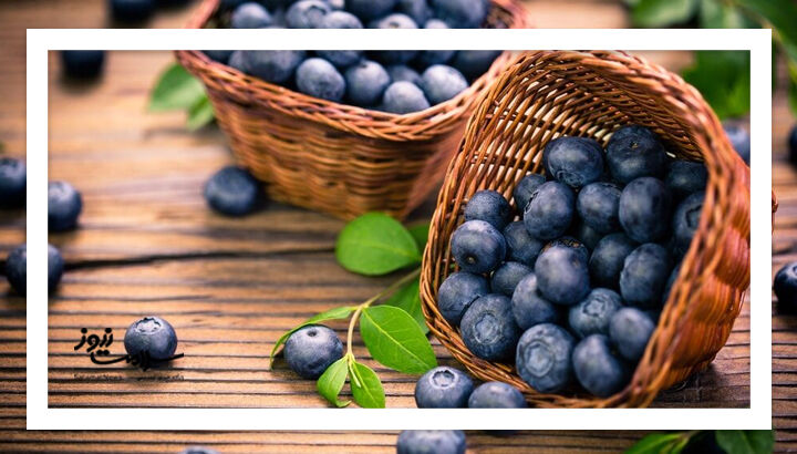 بلوبری: راهی طبیعی برای کاهش چینوچروک و افزایش جوانی پوست بلوبری: راهی طبیعی برای کاهش چینوچروک و افزایش جوانی پوست