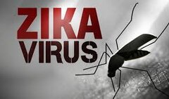 ویروس «زیکا» چیست؟