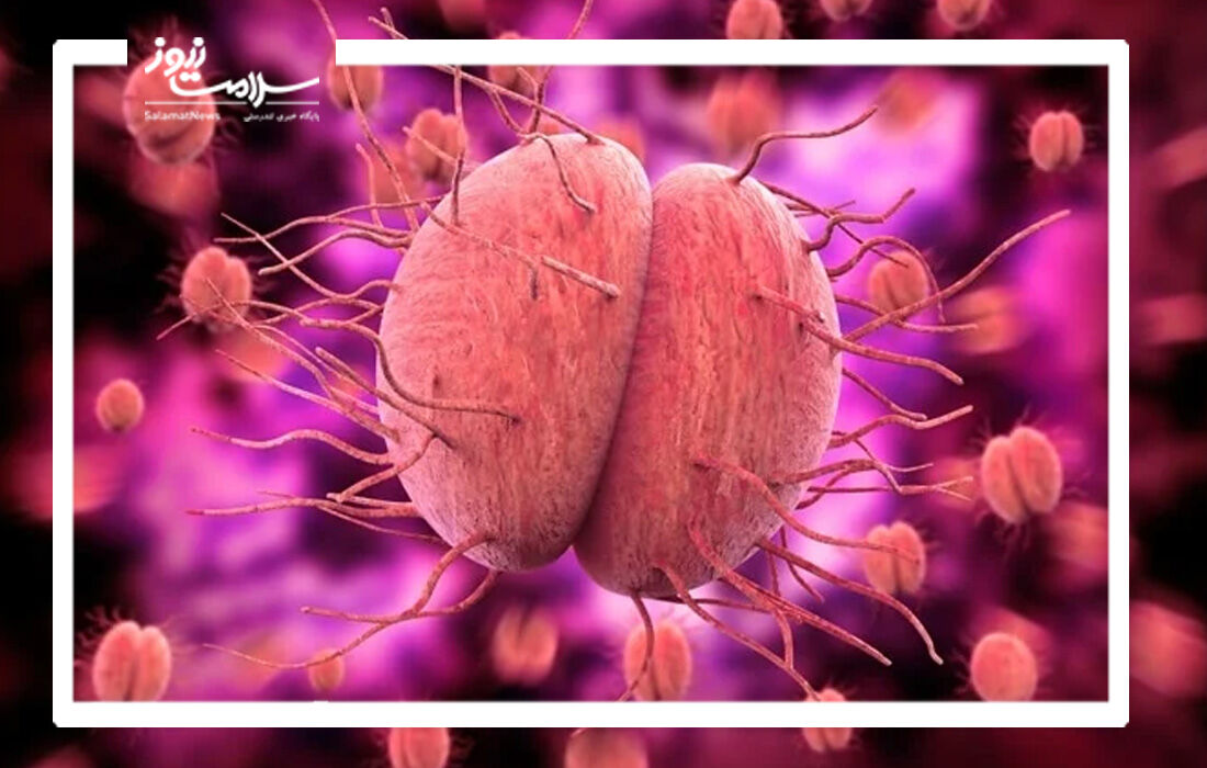 تولید آنتی بیوتیک جدید برای سوزاک مقاوم به دارو  تولید آنتی بیوتیک جدید برای سوزاک مقاوم به دارو