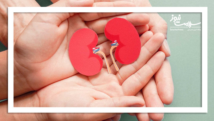 9 راهکار ساده برای تضمین سلامت کلیهها 9 راهکار ساده برای تضمین سلامت کلیهها