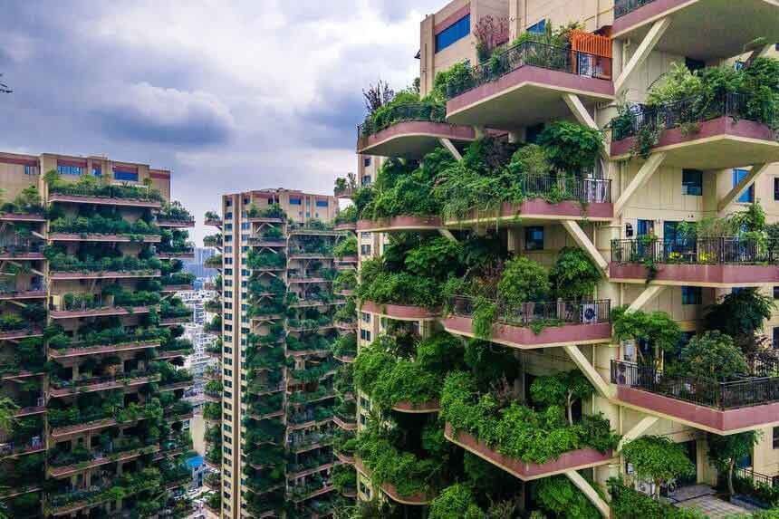 فضای سبز شهری قربانی برجباغها میشود فضای سبز شهری قربانی برجباغها میشود