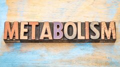 عواملی که متابولیسم را کُند می‌کند