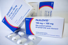 سازمان جهانی بهداشت: داروی پکسلووید بهترین گزینه درمانی برای کووید است