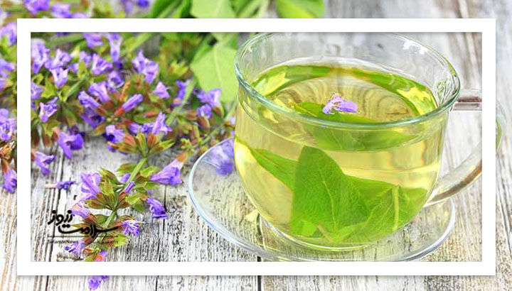 گیاهی معجزهآور برای تقویت حافظه و دور کردن افکار منفی گیاهی معجزهآور برای تقویت حافظه و دور کردن افکار منفی