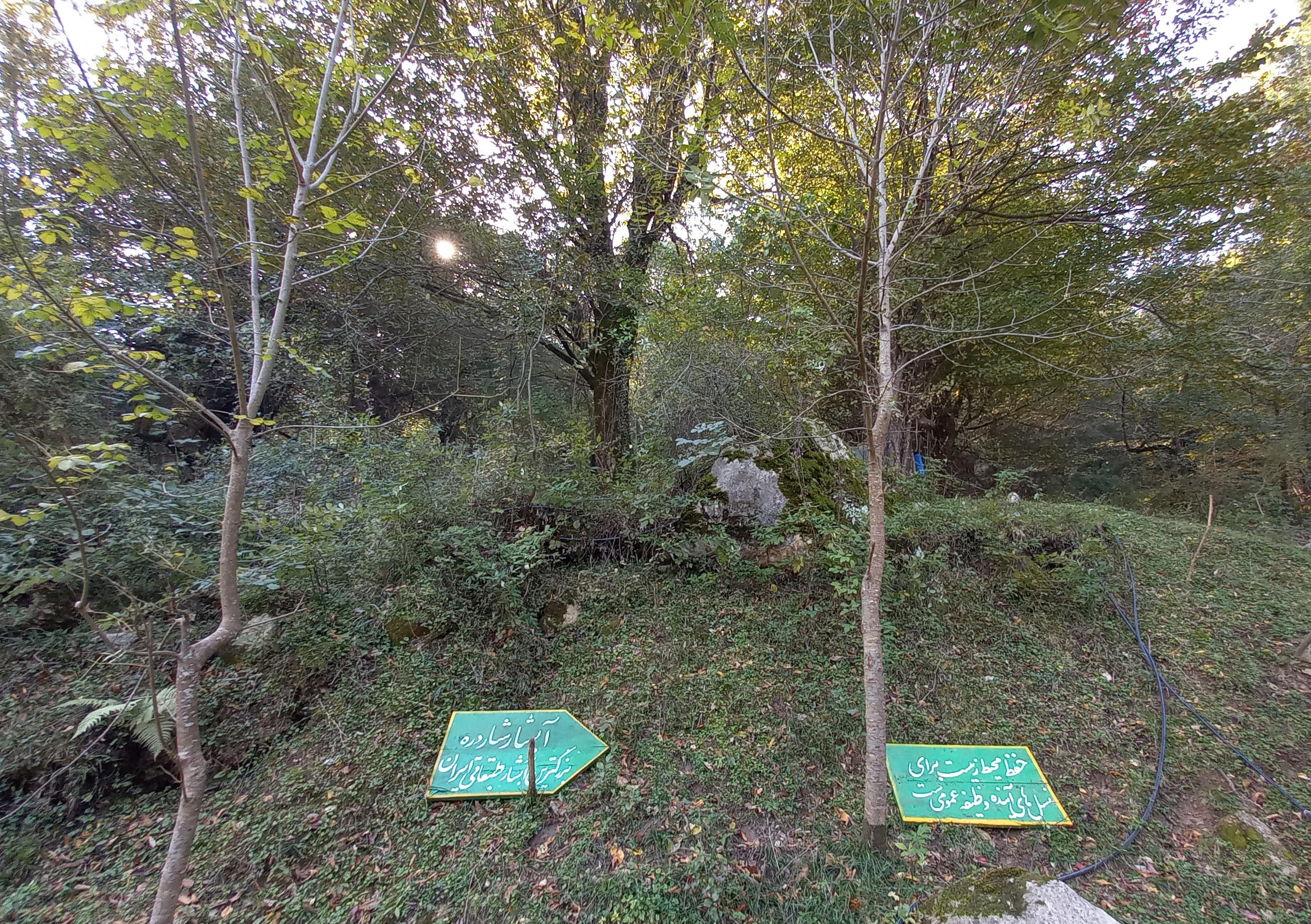 نبود حمایت سازمان "صداوسیما" و مسوولان از مستند محیط زیست/ اغلب مستندسازان بی کار هستند